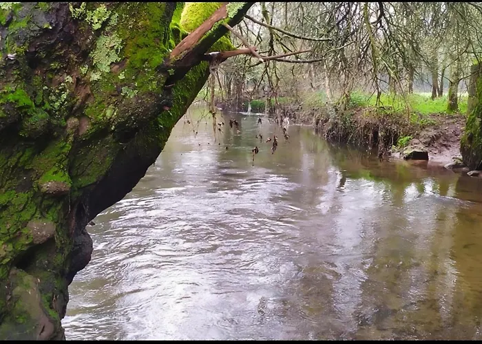 As Do Rio Pego Σπίτι διακοπών Brion